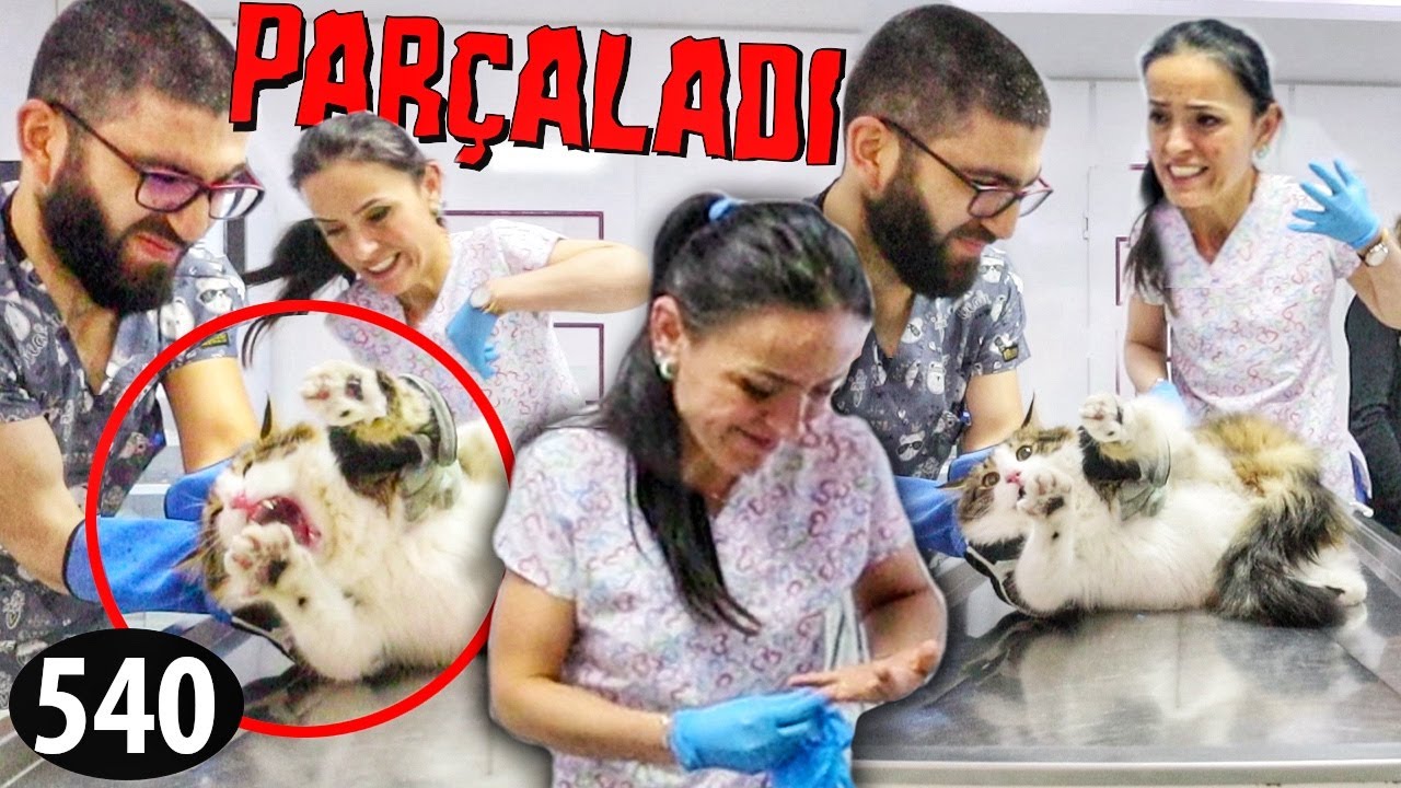 SEVGİYİ PARÇALADI! (resmen ölüm vuruşu)