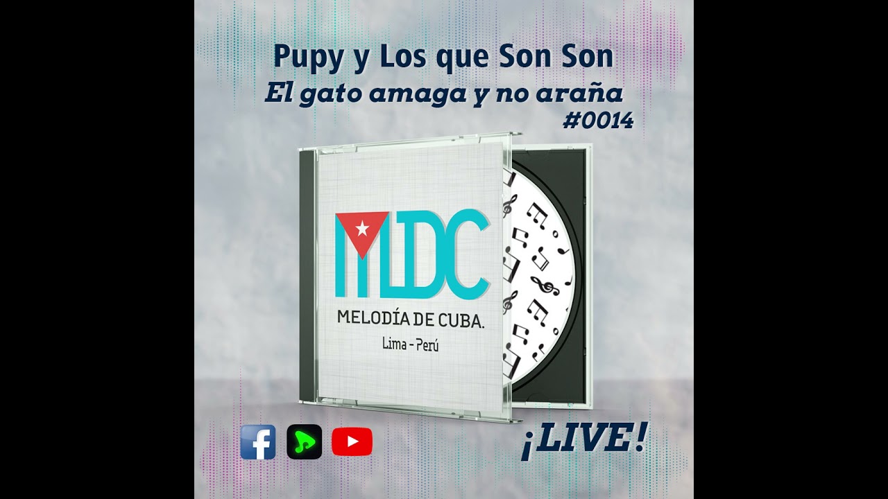 MDC LIVE #0014 El gato amaga y no araña-Pupy y Los que Son Son Live!