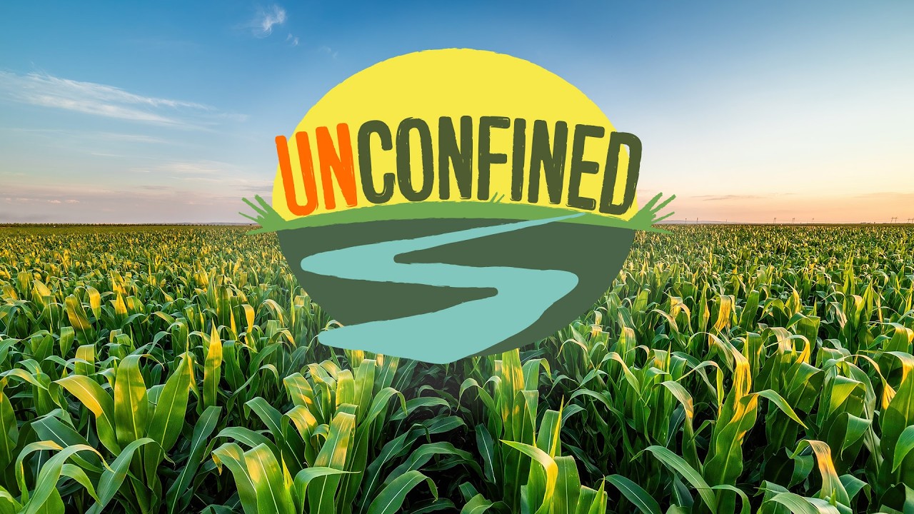 The Corn Belt’s Tragic Legacy