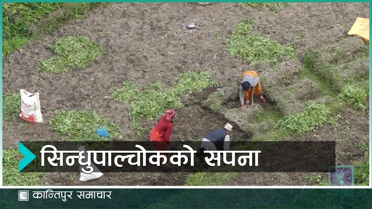 के के छन् सिन्धुपाल्चोक–१ मतदाताका गुनासो र दुखेसो | Kantipur Samachar