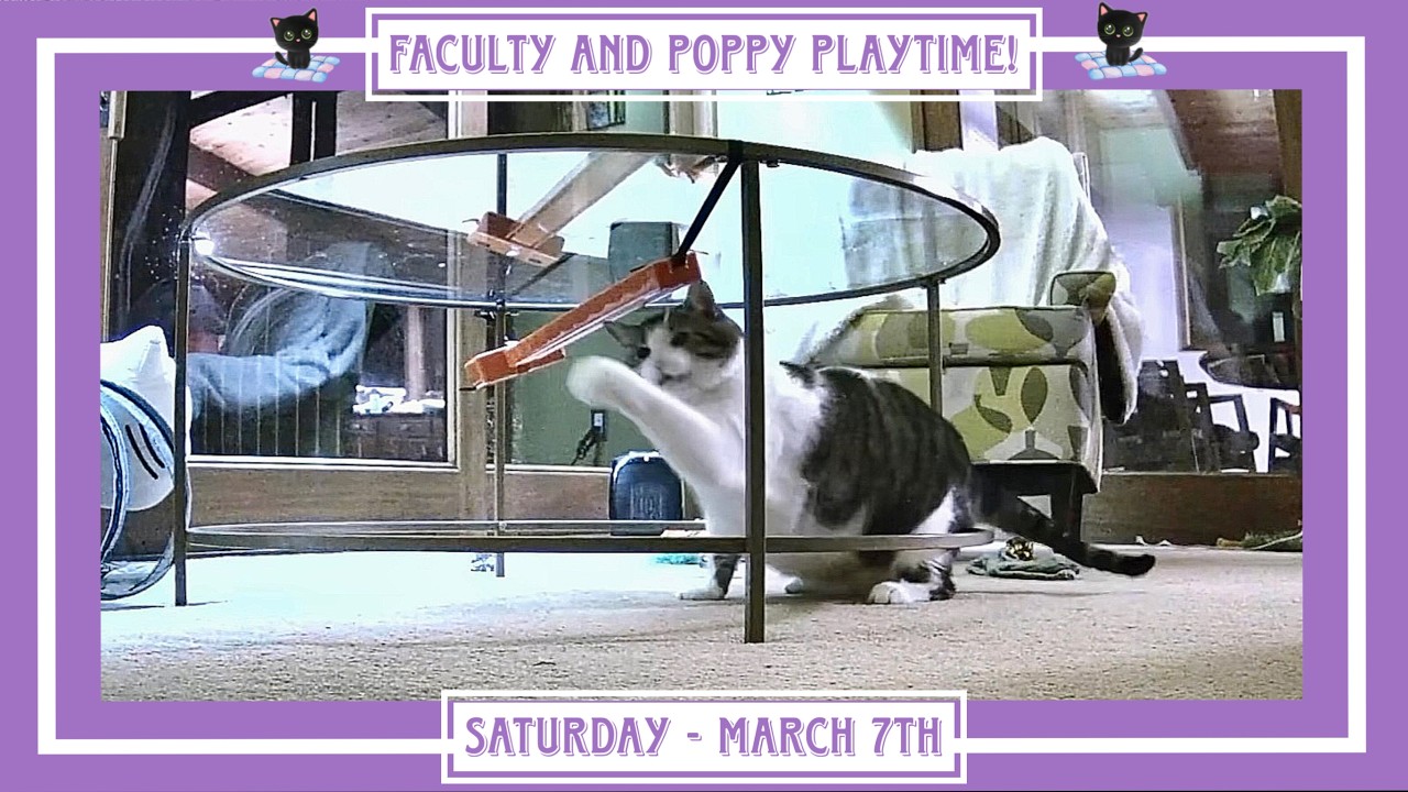 Faculty and Poppy Playtime! - Saturday March 7th.