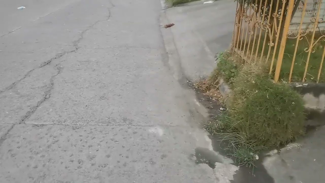 Walk Past Shops and Streets
