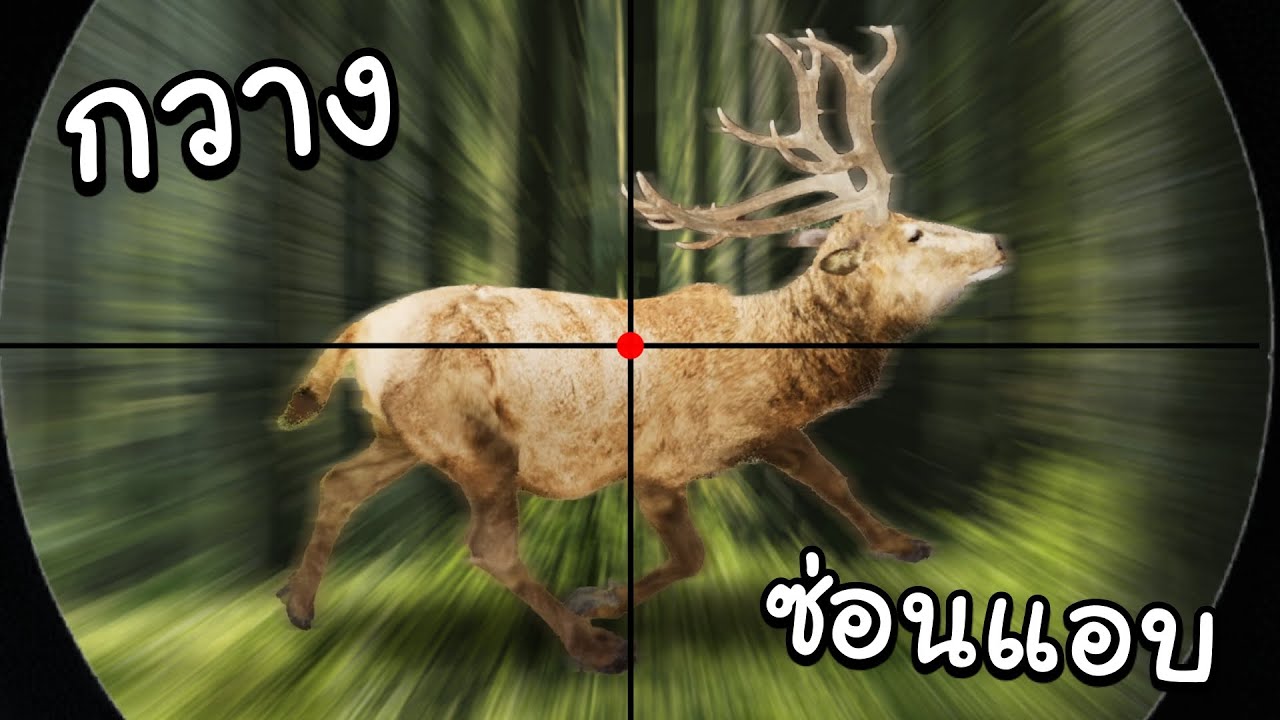 กวางสุดเกรียน ไอ้ตัวที่ซ่อนเนียนคือเพื่อนคุณ FT.OPZTV