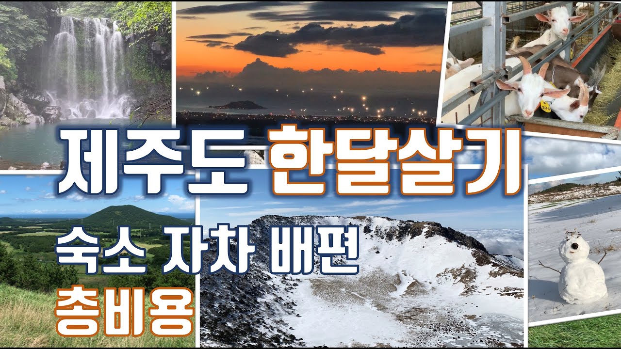 제주 한달살기 : 핵심 정보만 요약ㅣ숙소ㅣ생활비 총 비용ㅣ배편 차량선적ㅣ혼자만의 힐링 여행