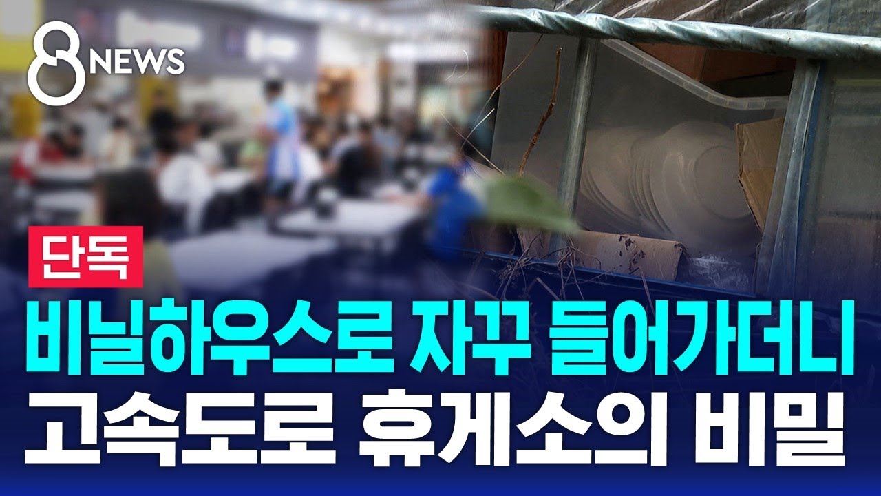 [단독] 비닐하우스로 자꾸 들어가더니…고속도로 휴게소의 비밀 / SBS 8뉴스