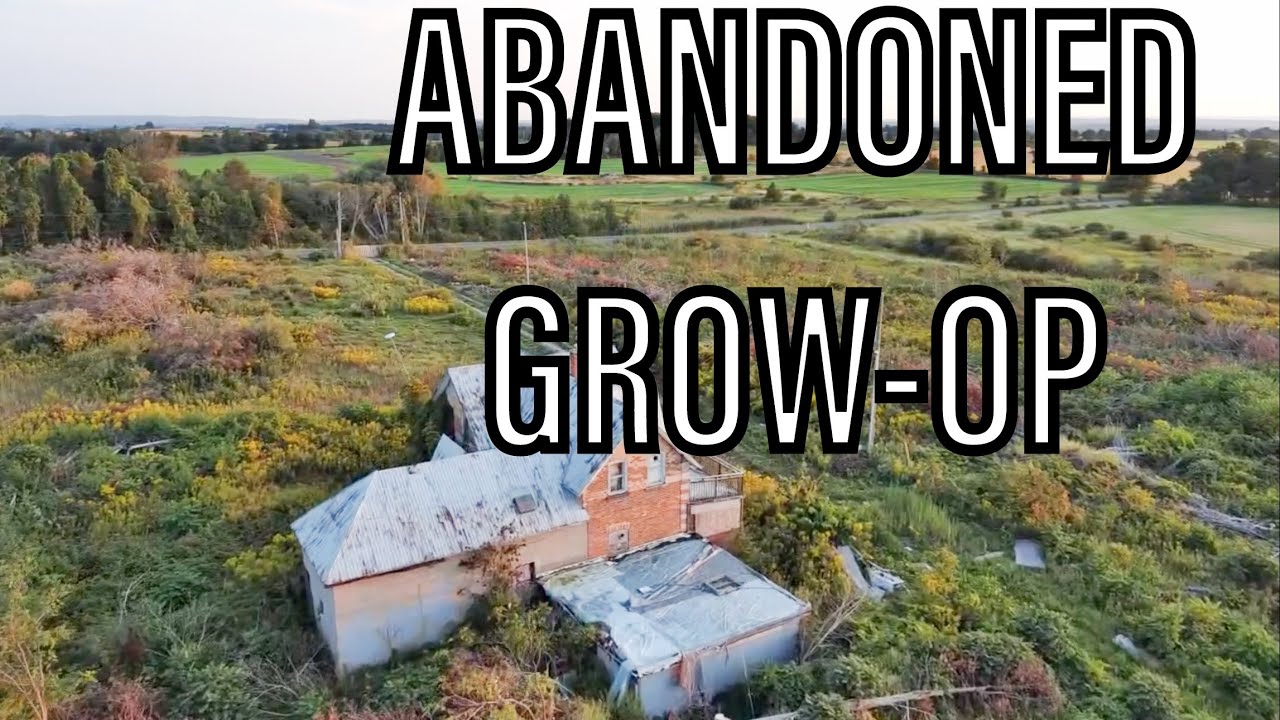 ABANDONED GROW-OP