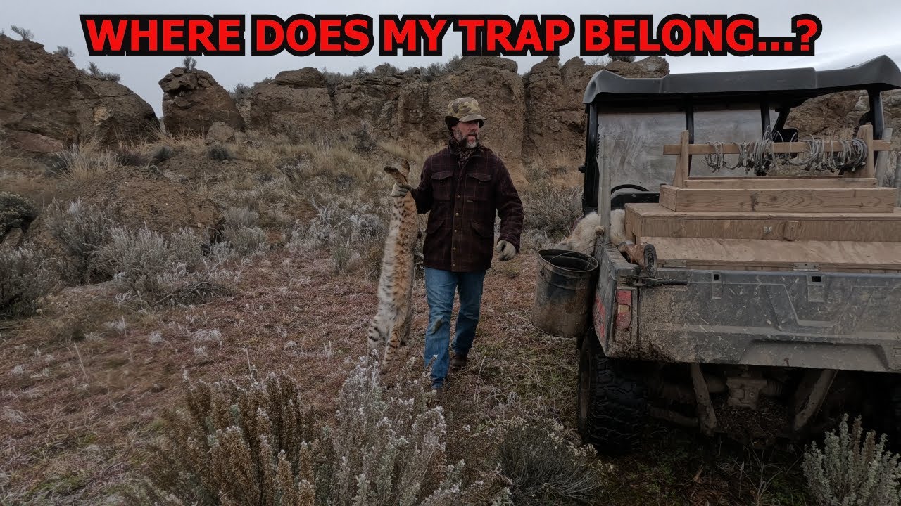 SET LOCATION FOR BOBCAT TRAPPING.... Also,  