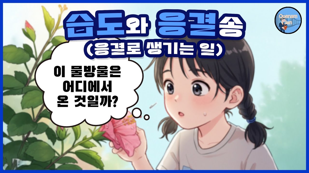 습도와 응결송 (응결로 생기는 일)