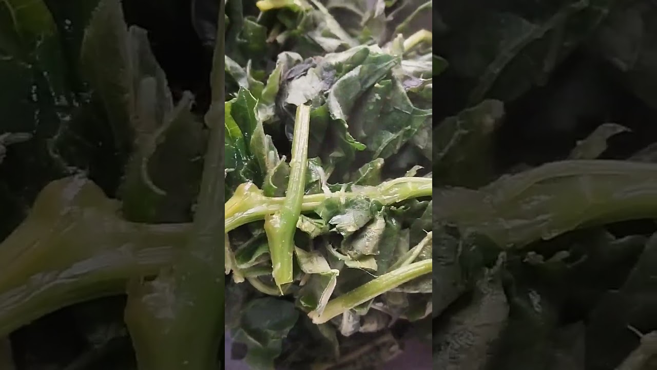 লাউশাক রান্না। লাউশাক খুব সহজ এবং স্বাস্থ্যকর একটি  তরকারি। 