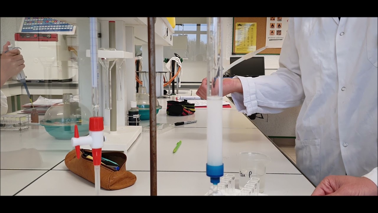 2. Dépôt d'un échantillon à analyser sur la colonne Séphadex (Chromatographie d'exclusion)