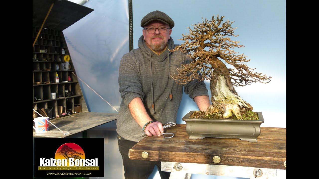 Bonsai Larch Ramification & Refinement with Graham Potter