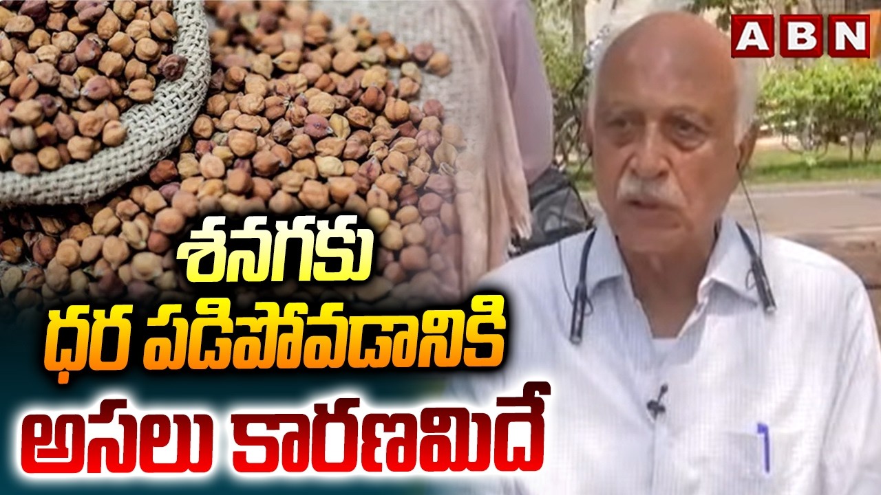 శనగ కు ధర పడిపోవడానికి అసలు కారణమిదే | Dr Kolla Rajamohan About Price Down To Shanaga | ABN