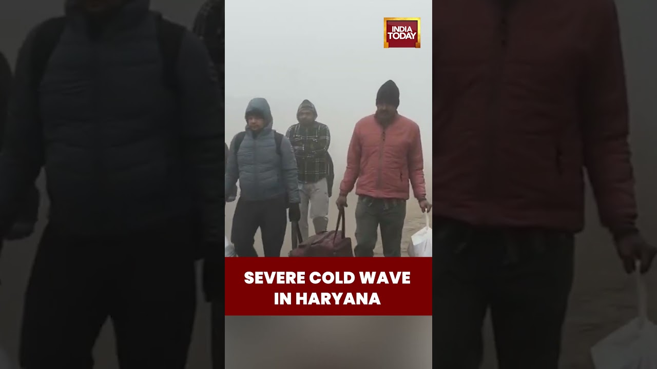 Haryana #coldwave : #densefog Reduces Visibility in Bhiwani