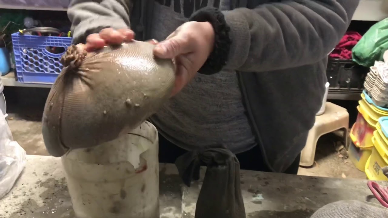 Lindos Hongos 🍄 de Cemento | Marymé Y Sus Creaciones