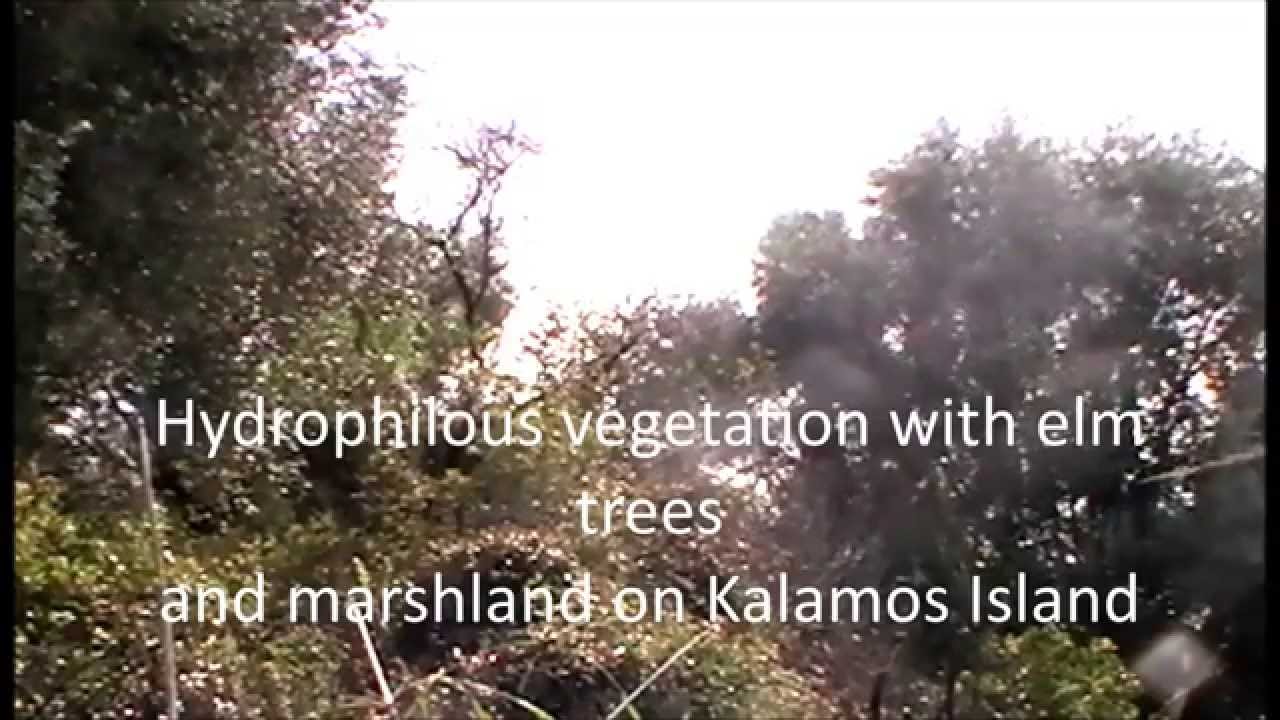 Terra Sylvestris Kalamos Kastos project
