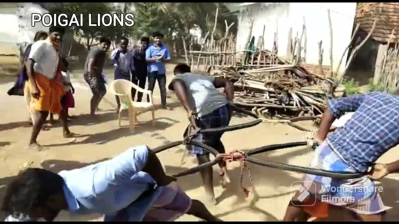 village funny games/ pongal festival celebration  2023 @poigailions286