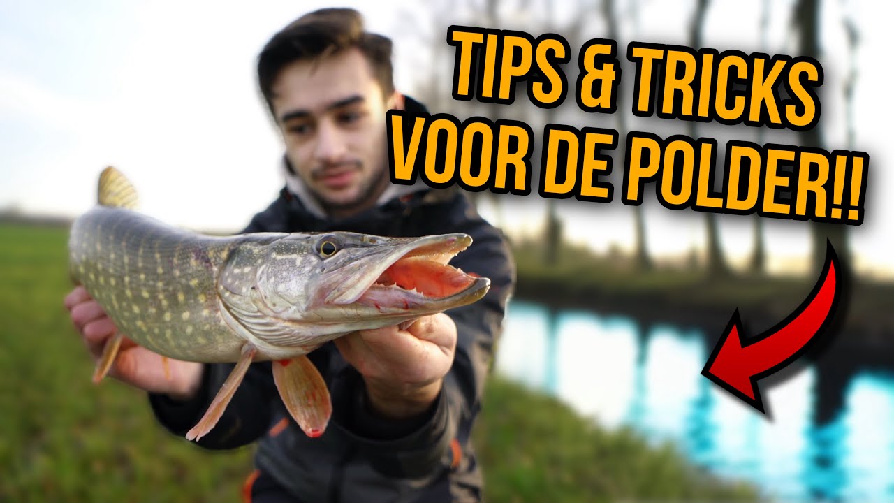 MET DEZE TIPS VANG JIJ MEER SNOEKEN IN DE POLDER!!!