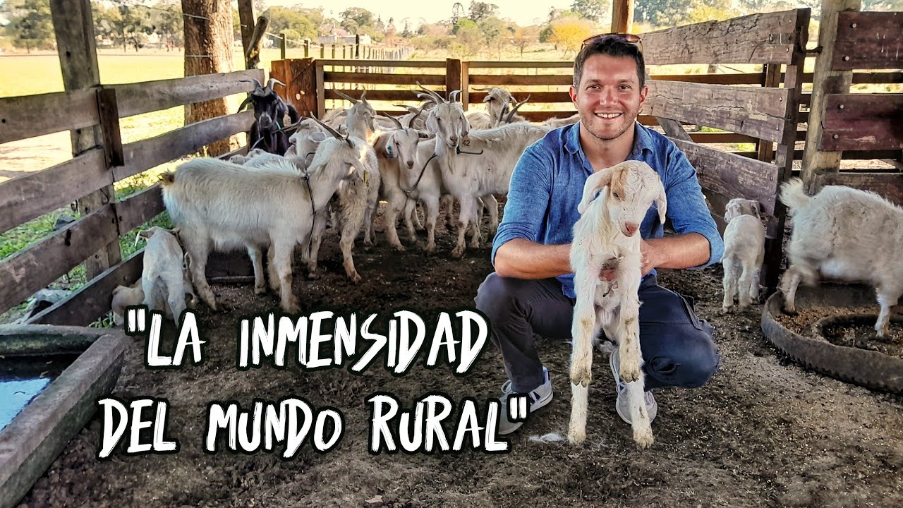 ¡El inmenso MUNDO del CAMPO como JAMÁS lo VISTE! | ANIMALES, huertas, abejas y un SÓTANO desafiante