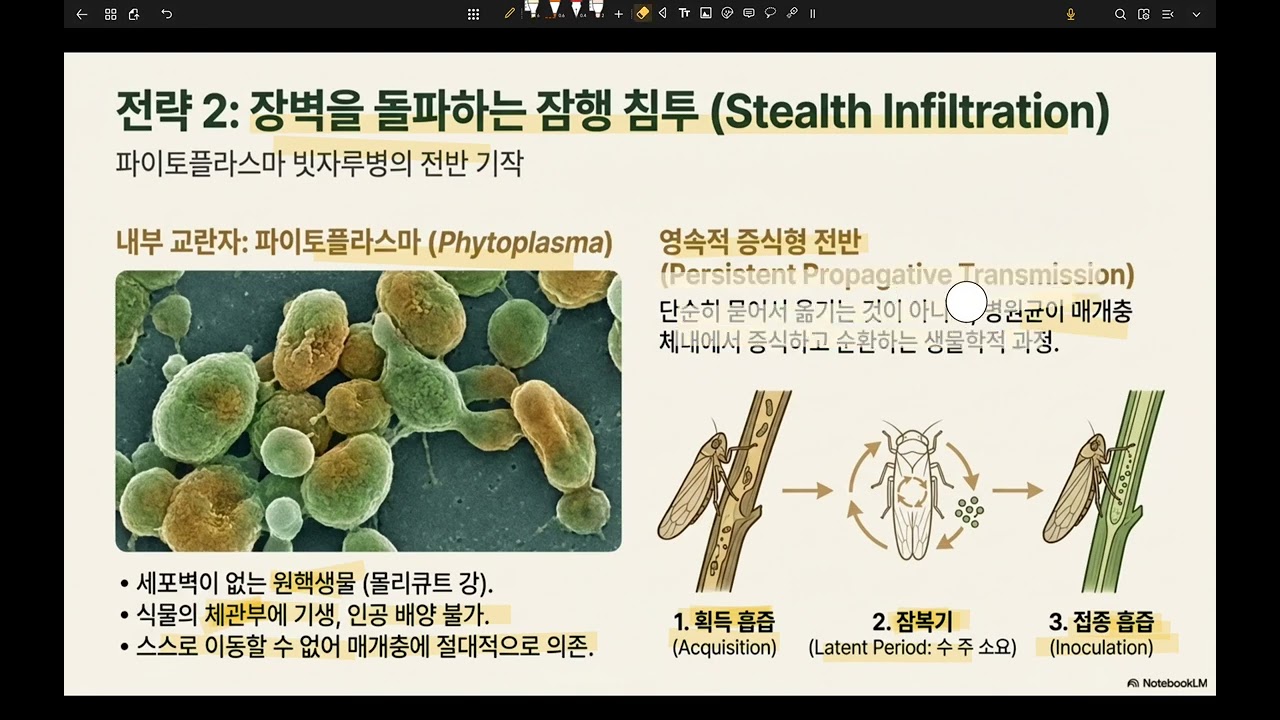식39-참나무시들음병, 파이토 빗자루병, 소나무재선충병의 매개곤충의 매커니즘
