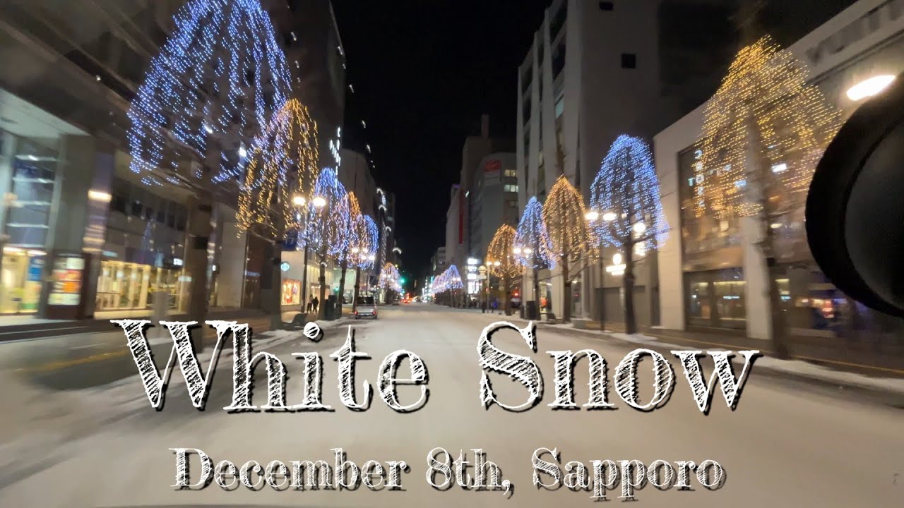 Finally Snow Covers Dec 2024| Sapporo Live Camera|NITE SNOW