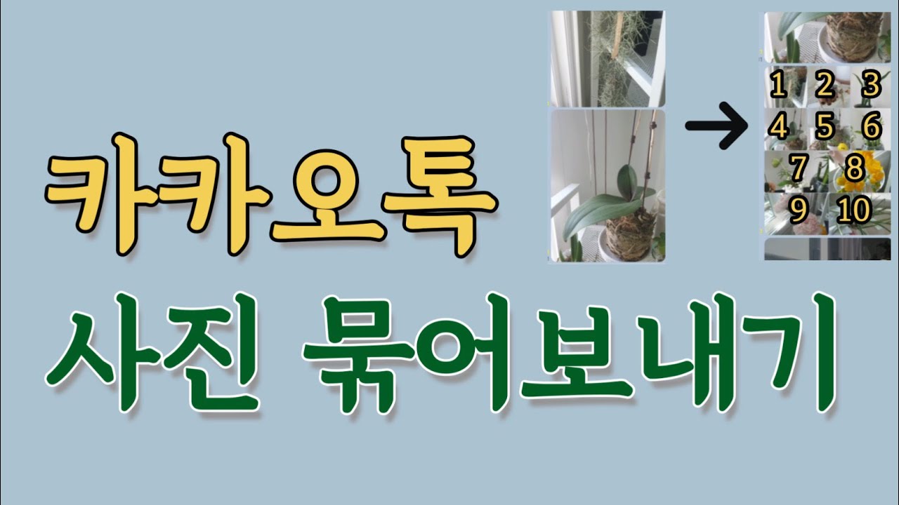카카오톡 사진 묶어보내기(묶음으로 메시지 하나에 사진 여러개 보내기, 사진 다운로드, 카톡 묶어보내기)