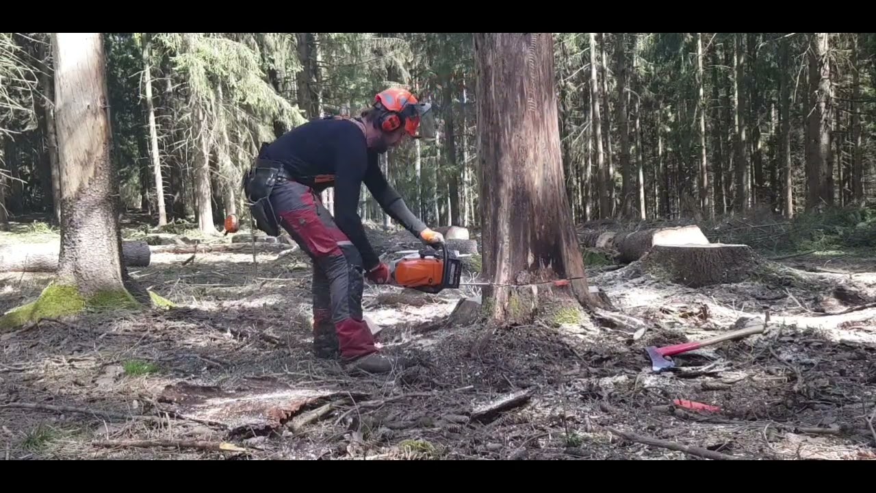 Work in forest,práce v lese stihl ms400c