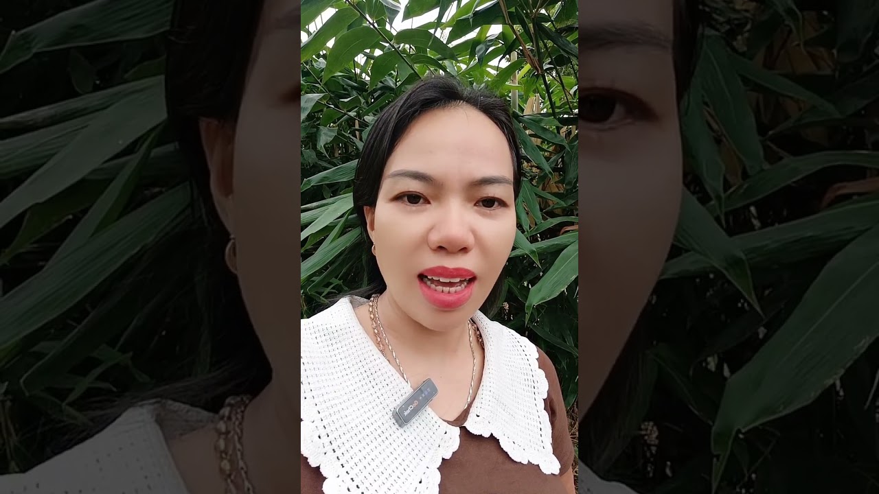 HỌC NGHỀ PH&Aacute;T LIVE V&Agrave; TẠO DOANH THU C&Ugrave;NG LIVE4U #chuyendoiso #cafeonline #didongsan #live4u
