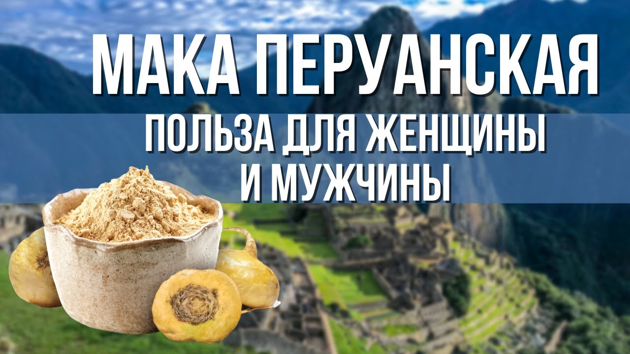 Известное во всем мире перуанское растение Мака. Применение перуанской Маки
