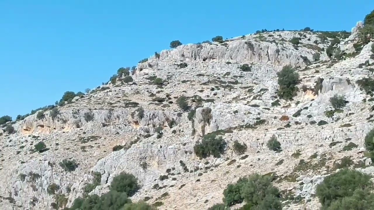 Δυτικός Αρακυνθος Οκτ 2024