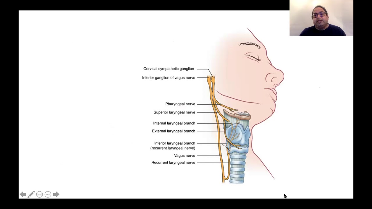 DIFFICULT AIRWAY AND ROLE OF NERVE BLOCKS