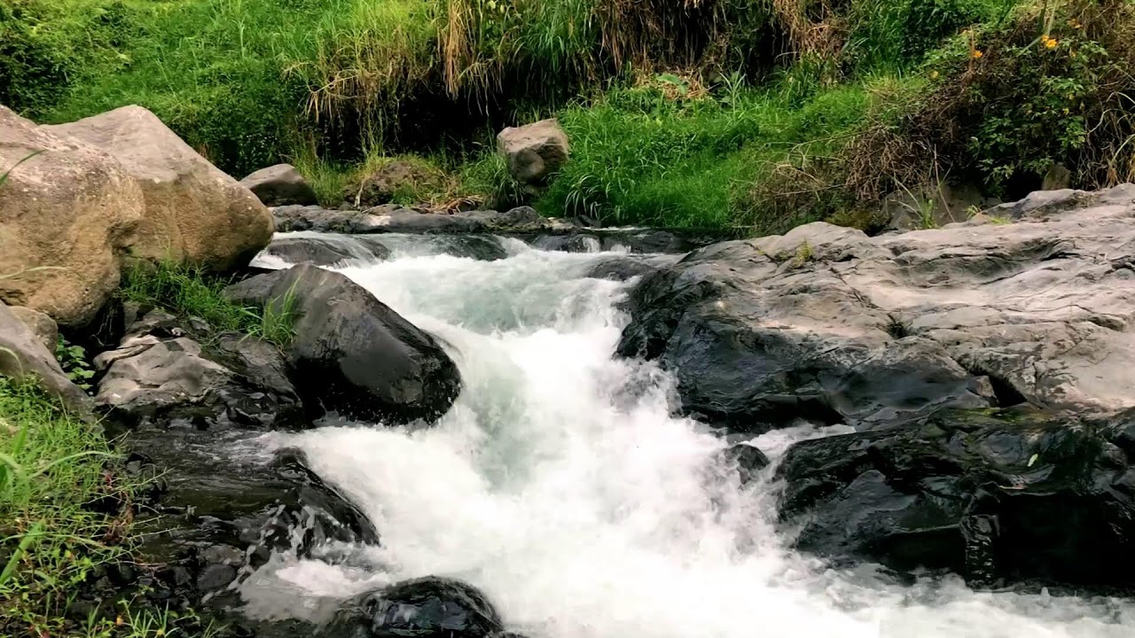 Deep Rainforest River Ambience | For Inner Peace, Peace of Mind & Mindfulness
