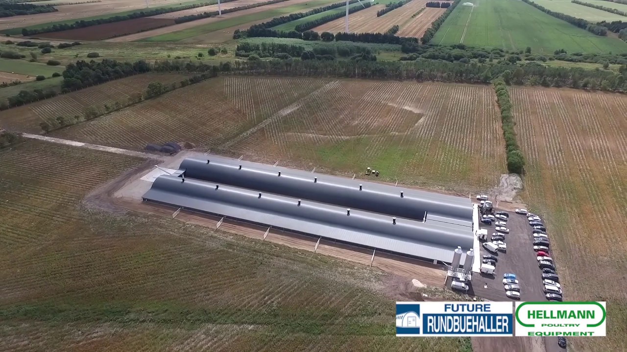 Ekologiška vištų ferma, Future arkiniai angarai (Куриная ферма)