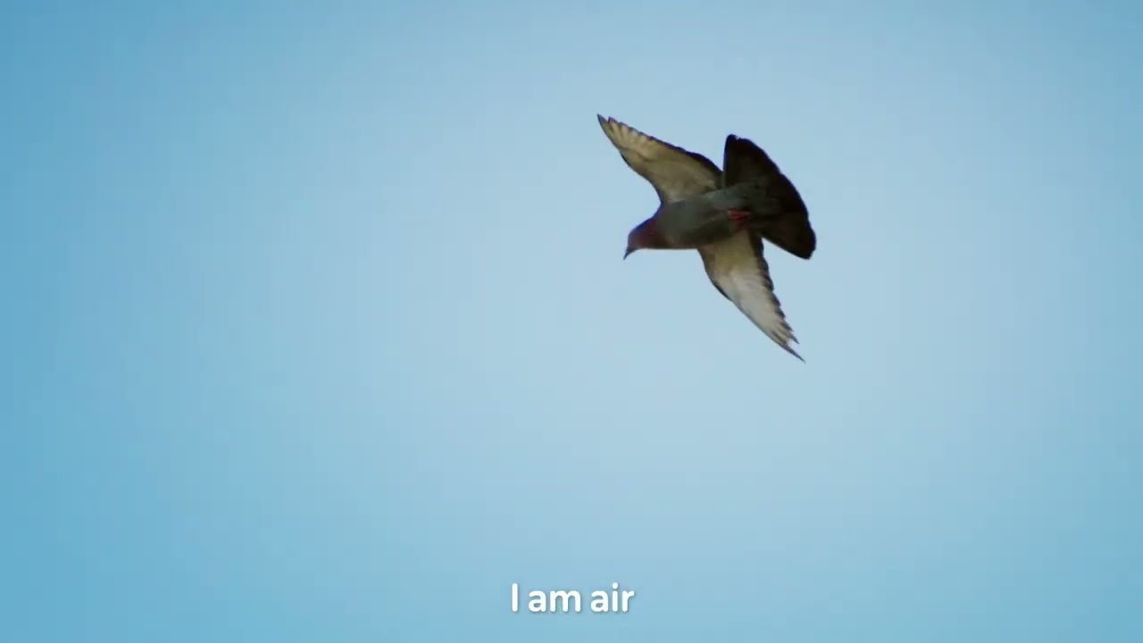 انضموا إلى حملتنا 