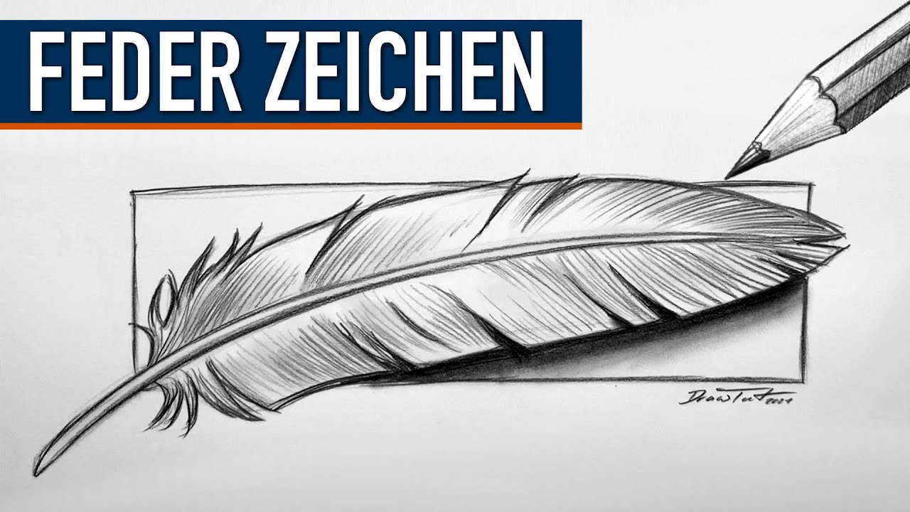 FEDER ZEICHNEN: Komplette Schritt für Schritt Übung zum Zeichnen einer Feder mit einem Bleistift