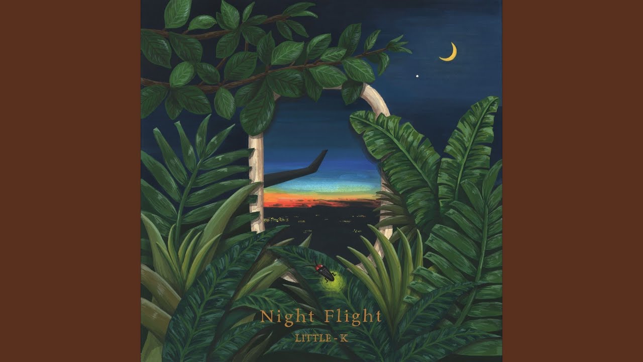 Night Flight