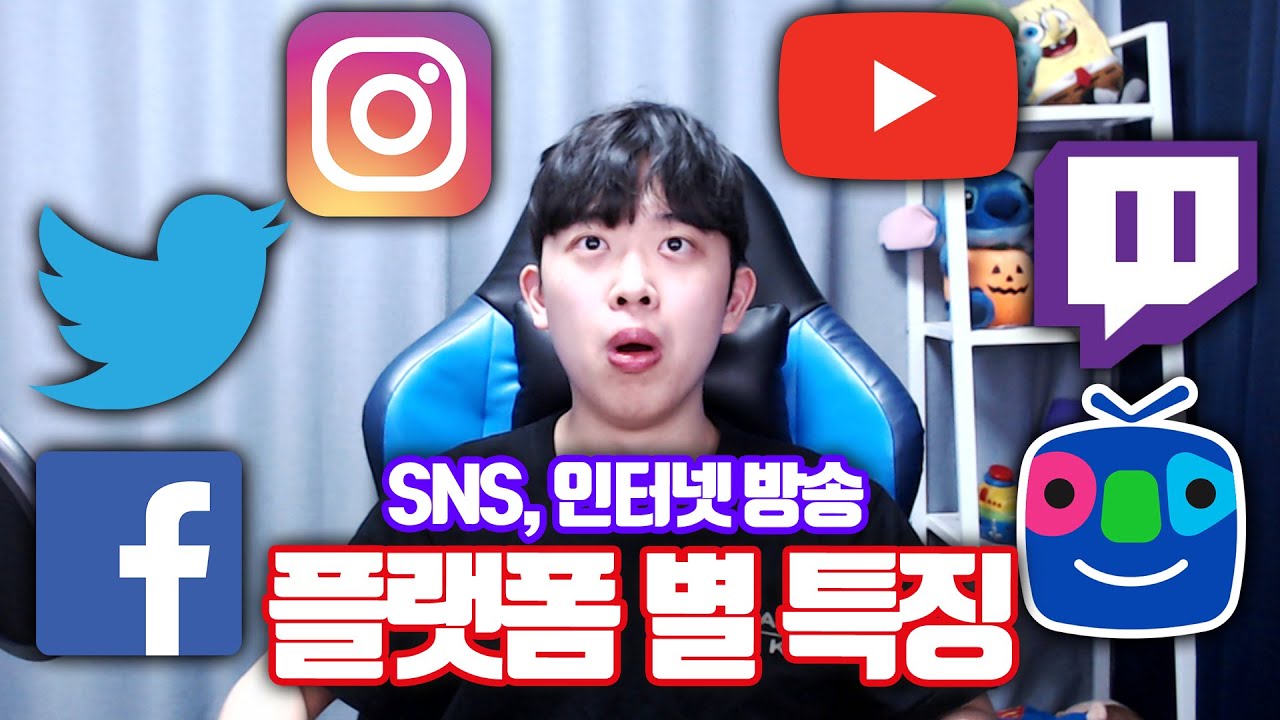 SNS, 인방 플랫폼 별 특징ㅋㅋㅋ