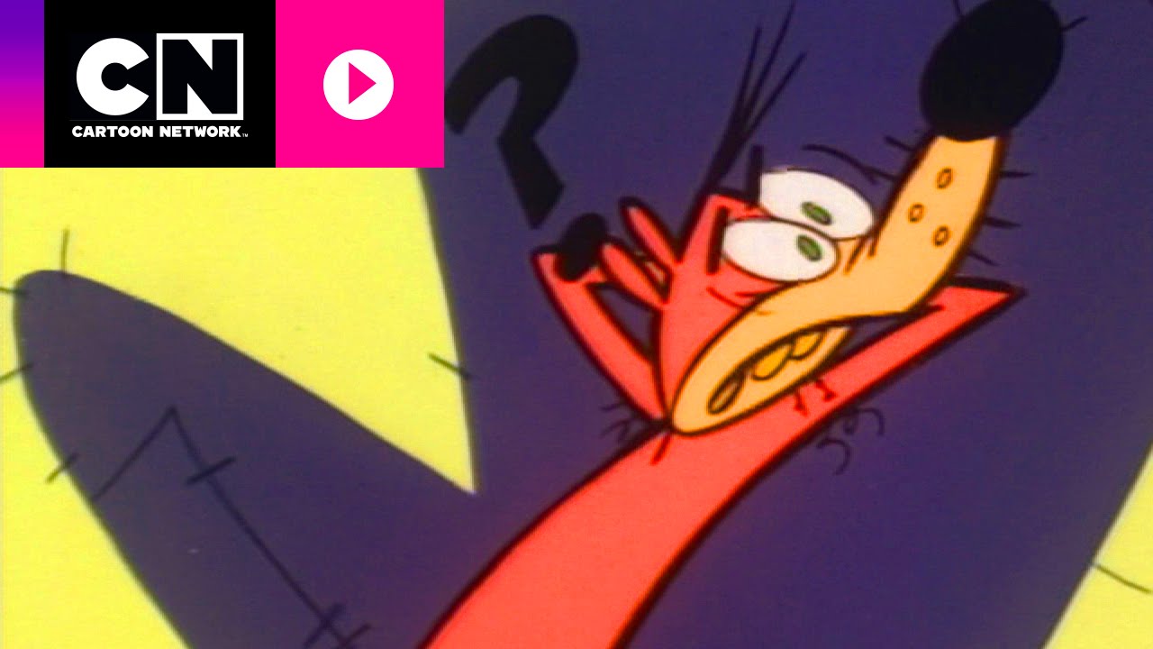 ¿Qué está pasando ahí dentro? | La Zarigüeya Sledgehammer | Cartoon Network