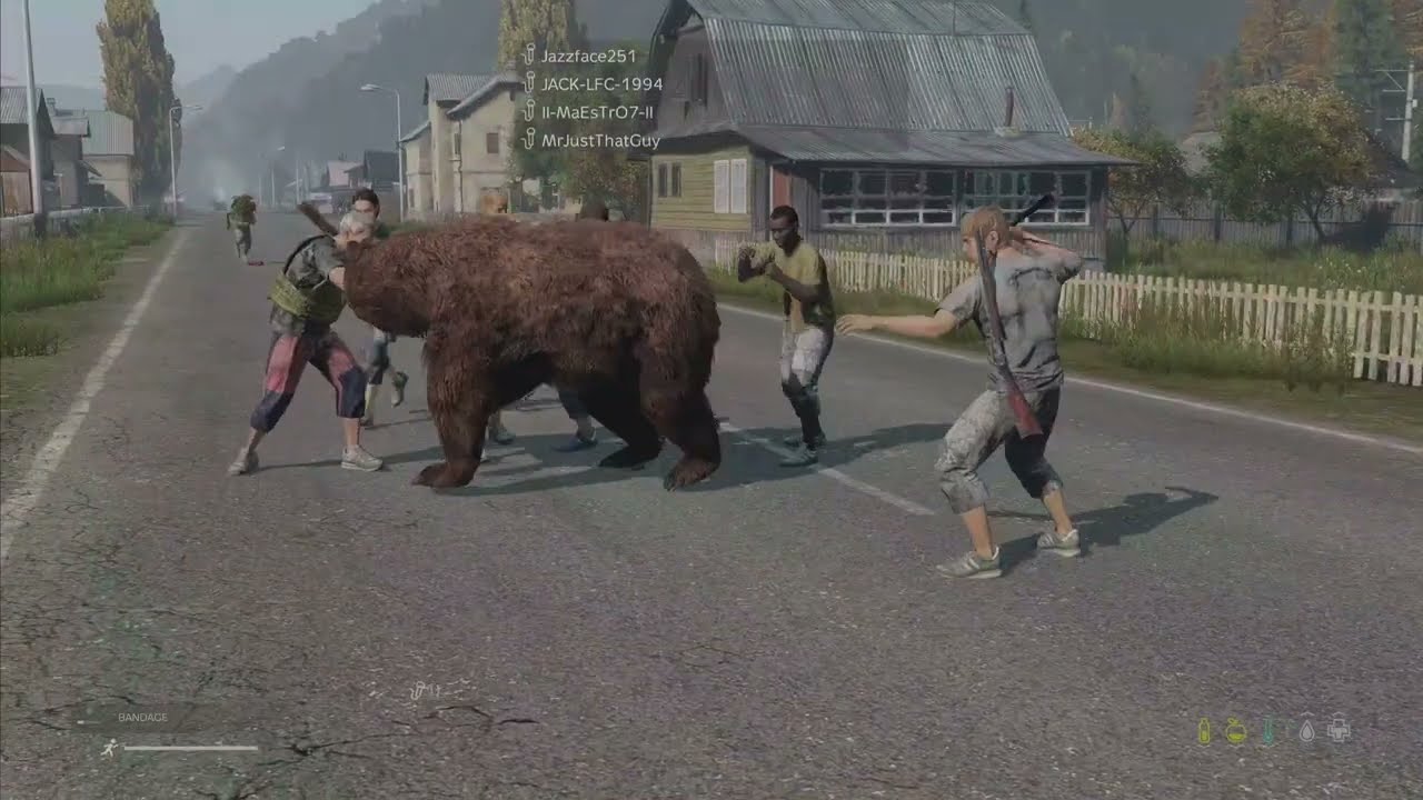 When A Bear Strolls Through The Wrong Hood in DayZ