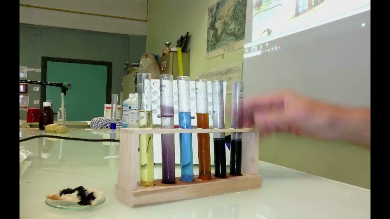 Digestion In Vitro de l'Amidon par la salive