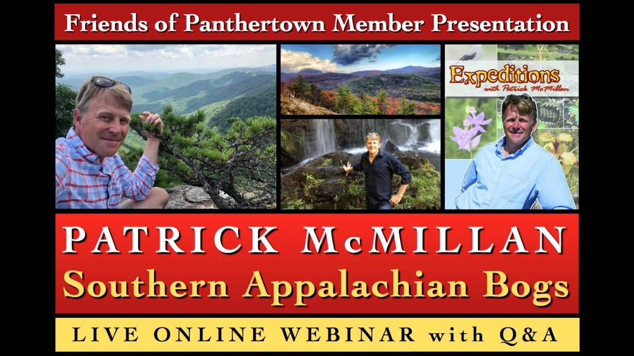 Friends of Panthertown Webinar: Dr. Patrick McMillan - Southern Appalachian Bogs & Fens