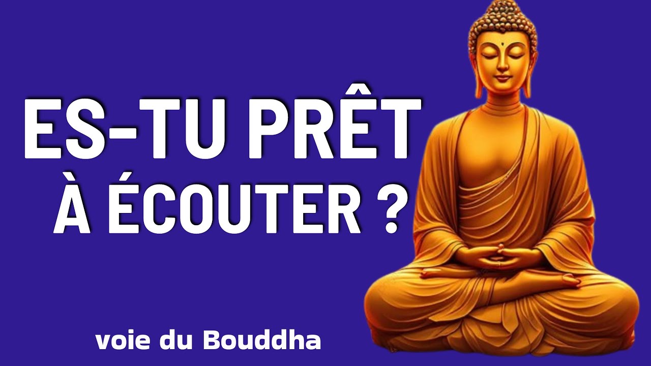 Arrête de lutter : l’Univers a déjà choisi