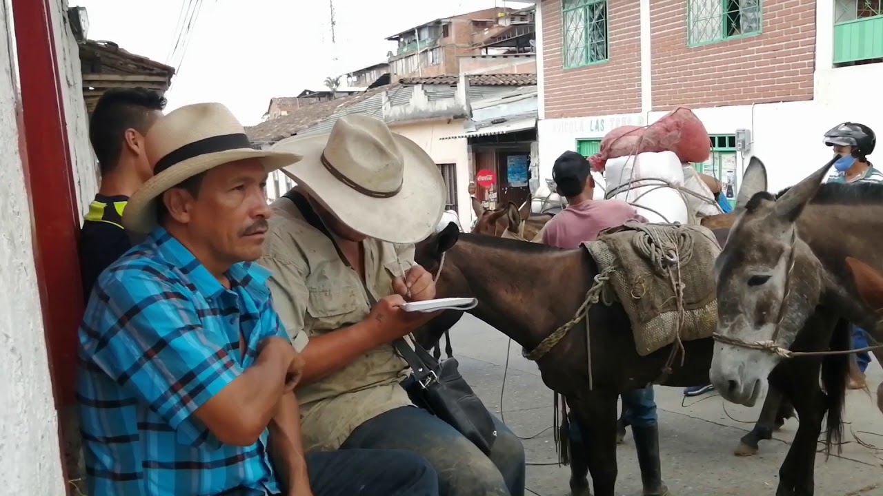 Panela de Quinchia Risaralda Colombia