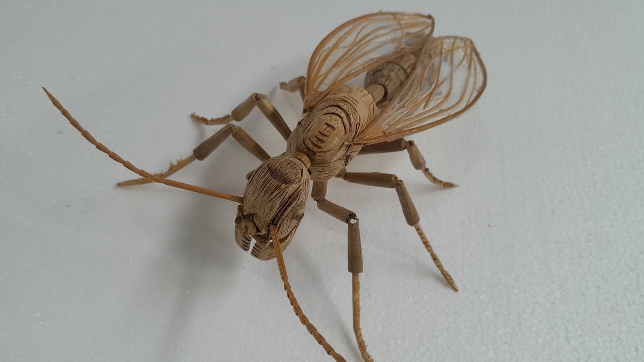 bullet ant from bamboo 