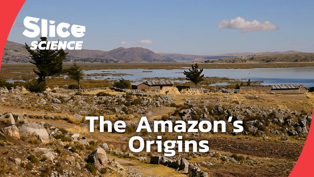 The Geological Story Behind South America&rsquo;s Creation | SLICE SCIENCE | FULL DOC