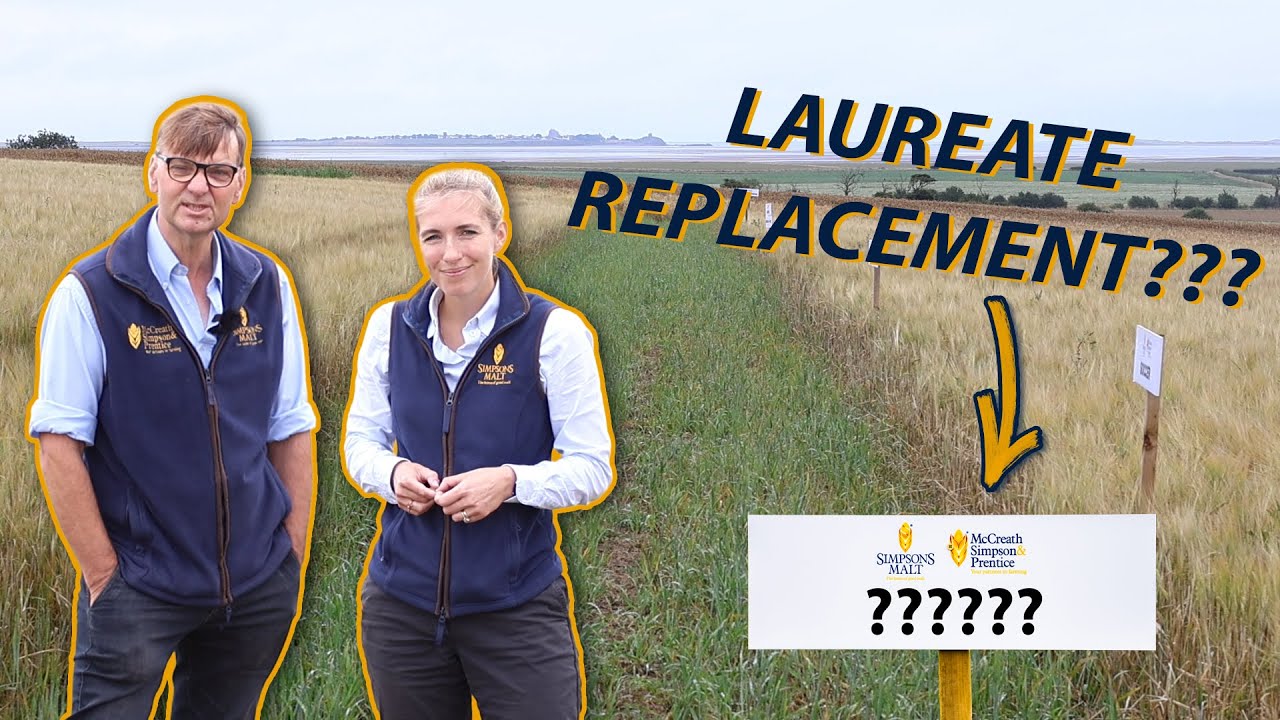 Harvest Is GO & Identifying The NEXT Laureate!! | Spring Barley 2025
