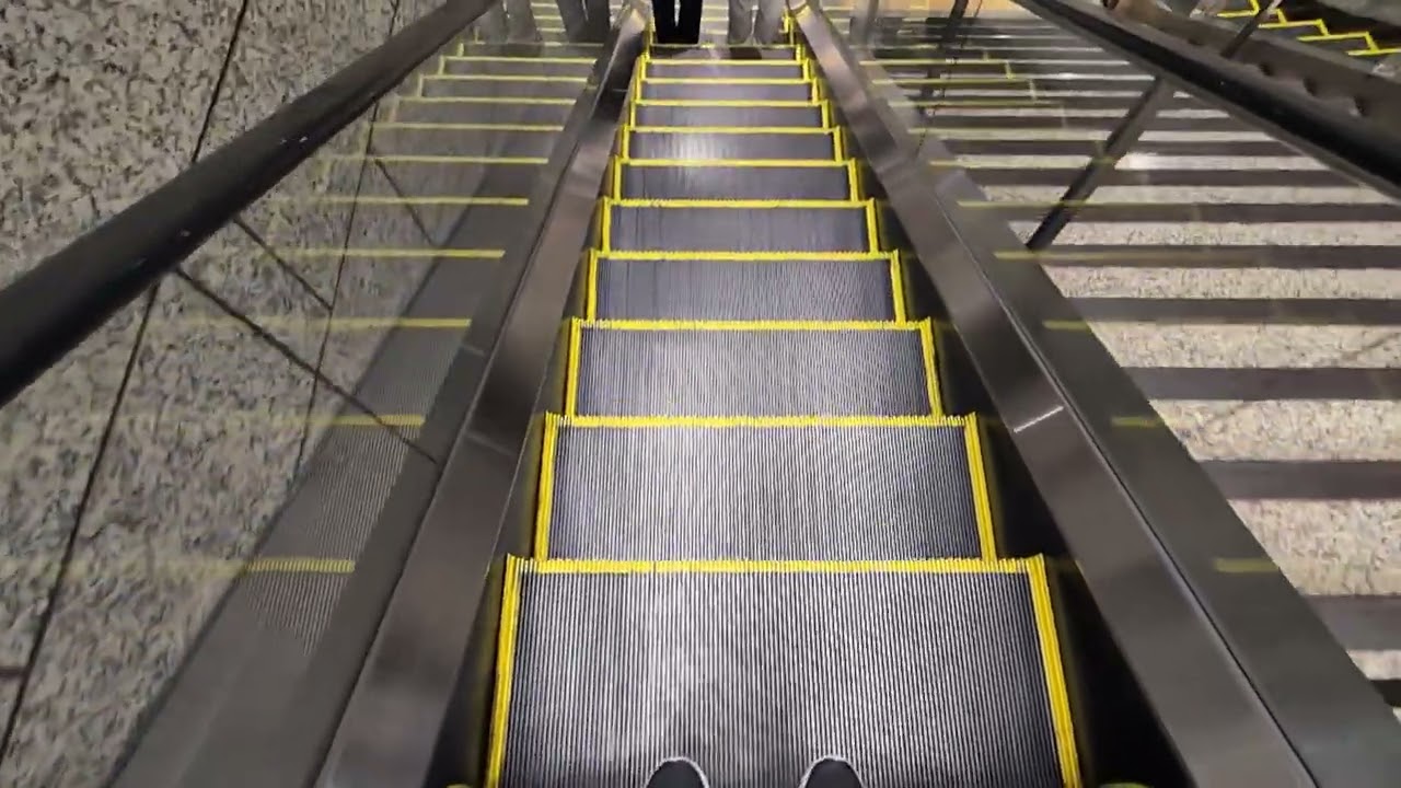 東京都庁　エスカレーター