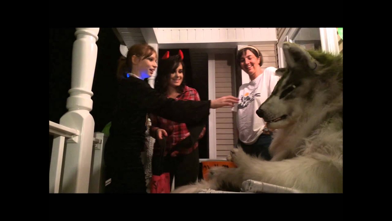 Halloween 'Trick or Treat' scares with Wolf Link