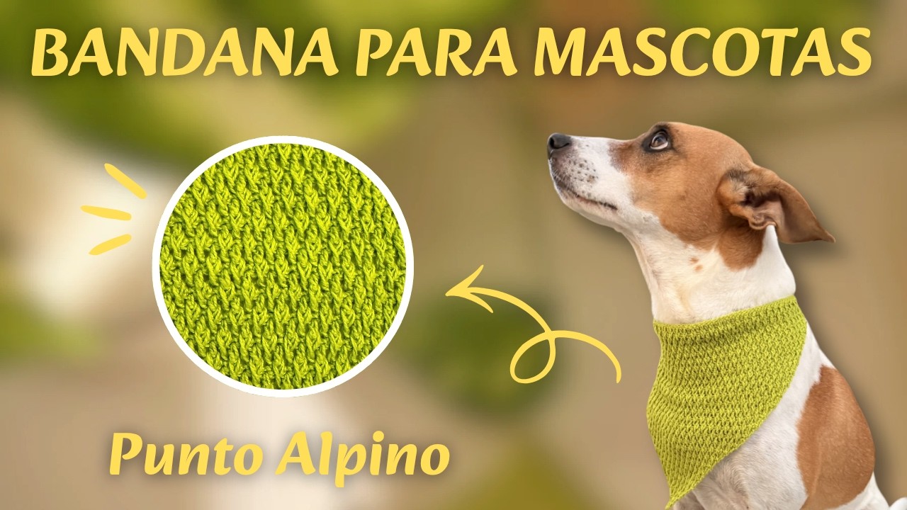 BANDANA TRIANGULAR con RELIEVE para MASCOTAS a CROCHET–TÉCNICA para DISMINUCIONES en PUNTO ALPINO
