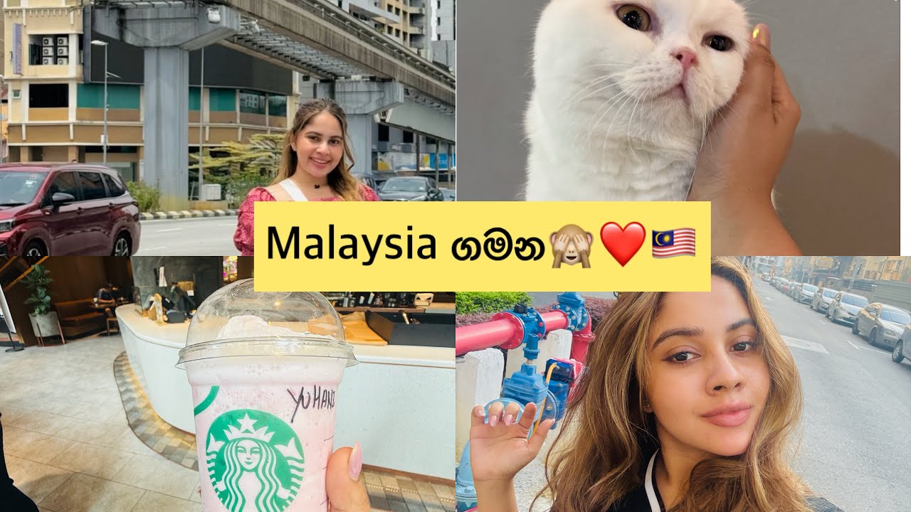 මගේ birthday gift එක🙈🎁💝තනියම Malaysia 🇲🇾/ ලස්සන නැති රටක් මේක🤦🏻‍♀️