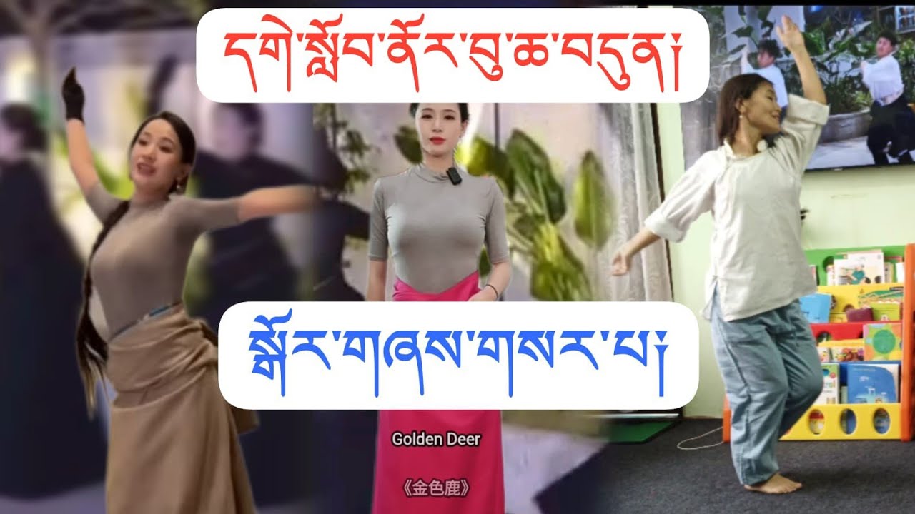 དགེ་སློབ་ནོར་བུ་ཆ་བདུན༏ //new tibetan gorshay//སྒོར་གཞས་གསར་པ༏ // gorshay lover//